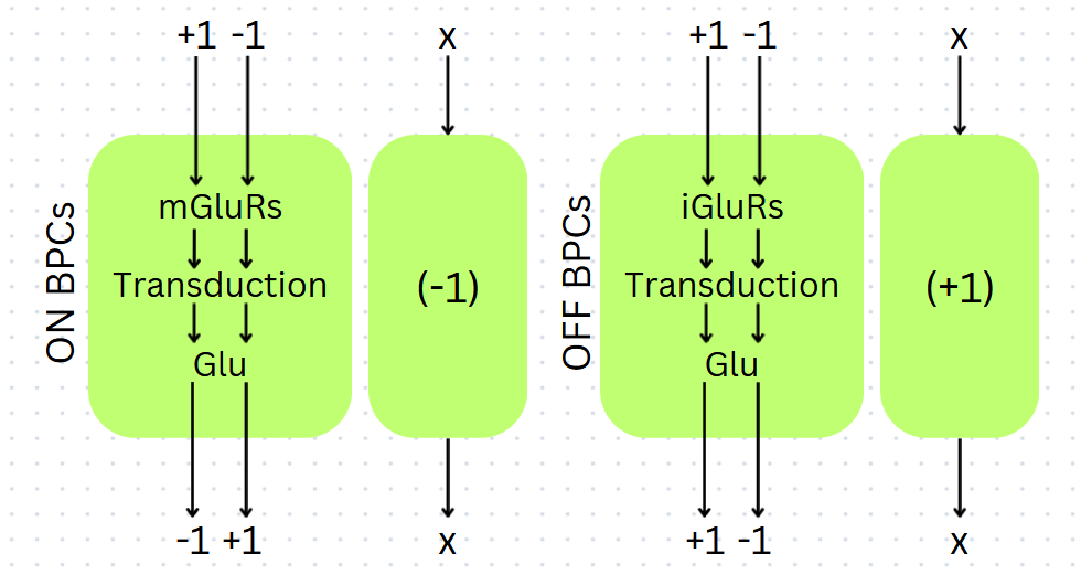 ON and OFF BPCs as a machine