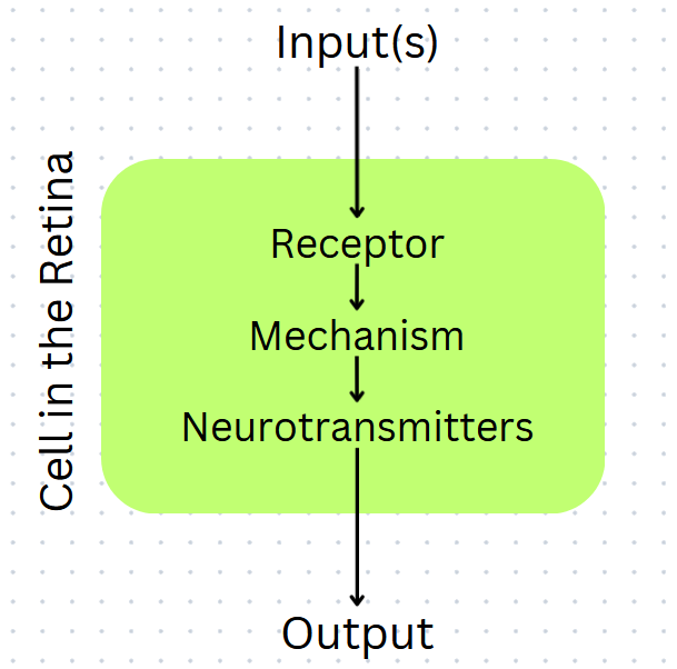 The machine inside the cell that takes input(s) and shoots out an output.