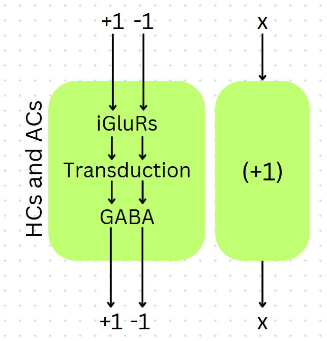HCs and ACs as a machine